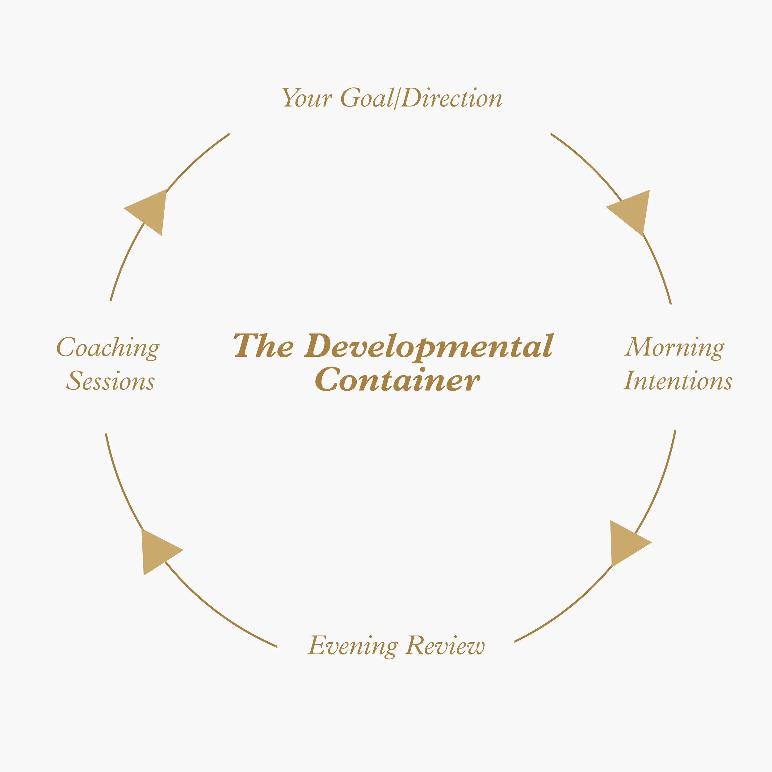 The Developmental Container graphic